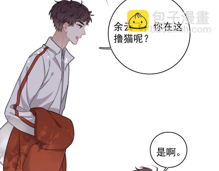 第11话 小猫咪和他