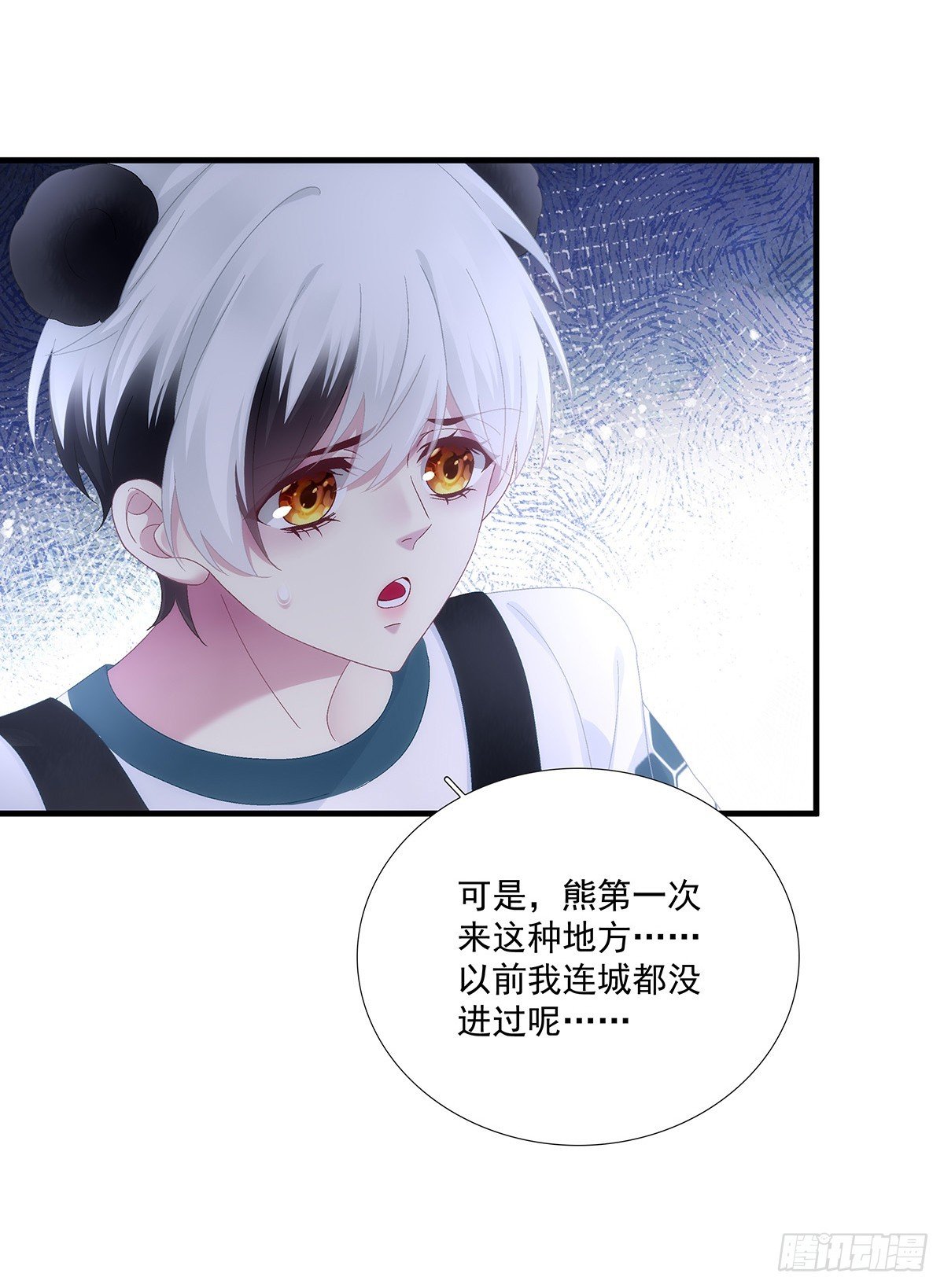 小熊猫来啦！