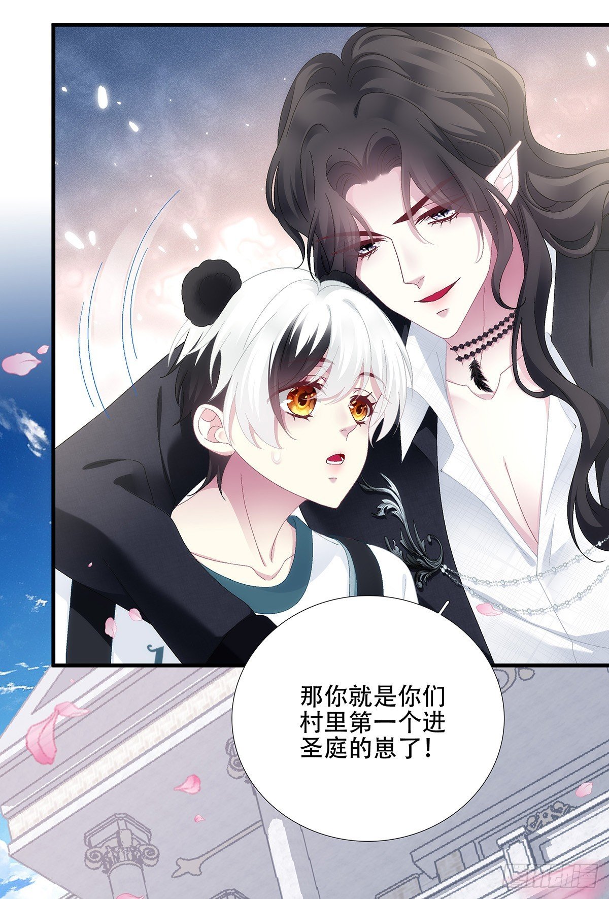 小熊猫来啦！