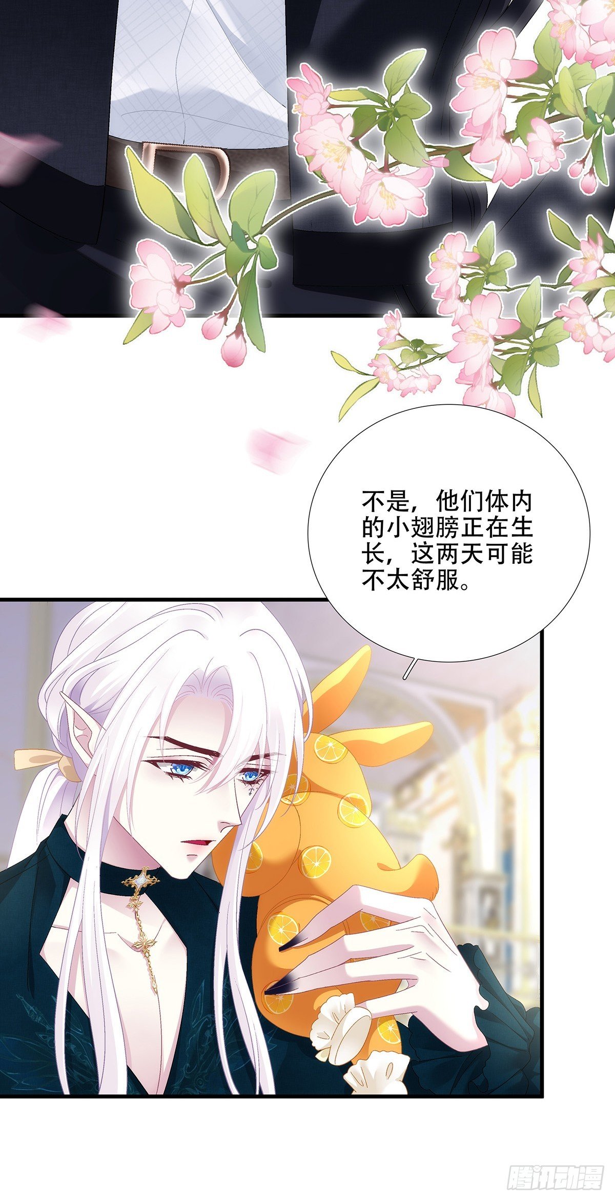 小熊猫来啦！