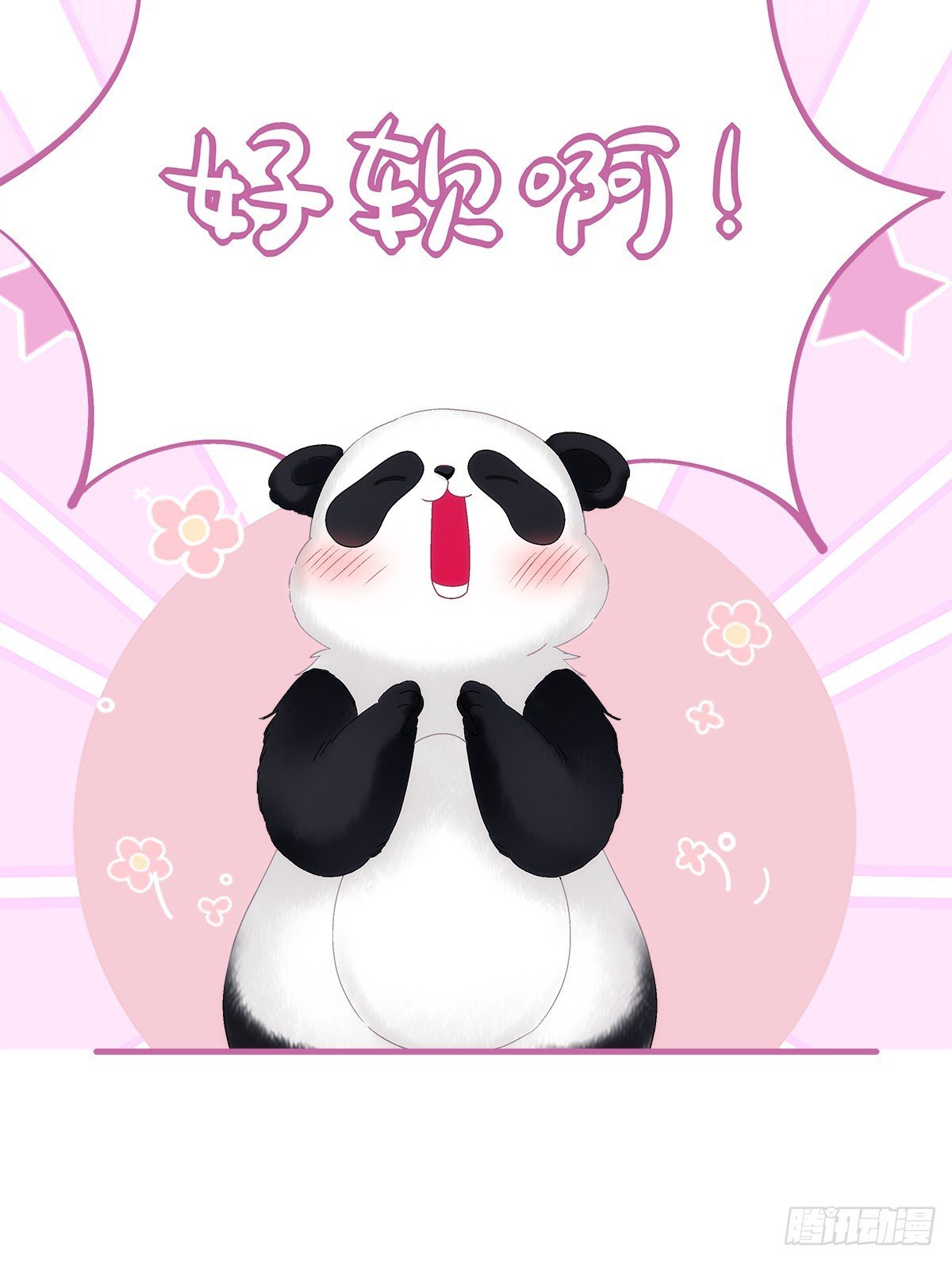 小熊猫来啦！