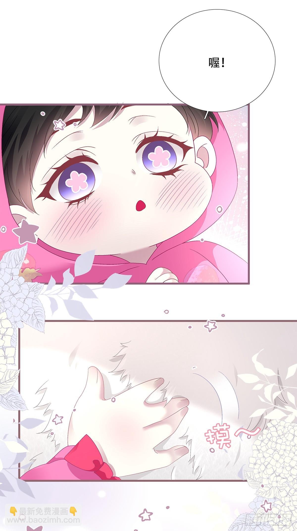 小熊猫来啦！