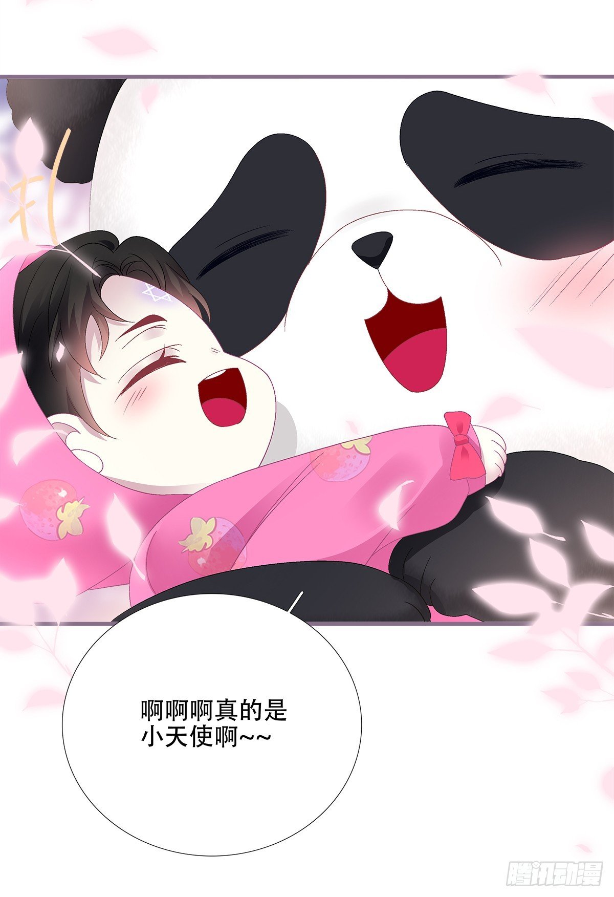 小熊猫来啦！