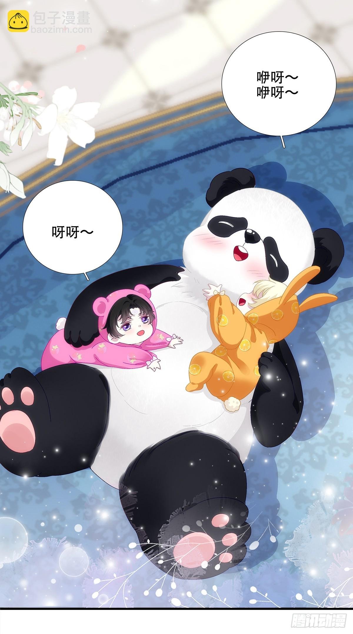 小熊猫来啦！
