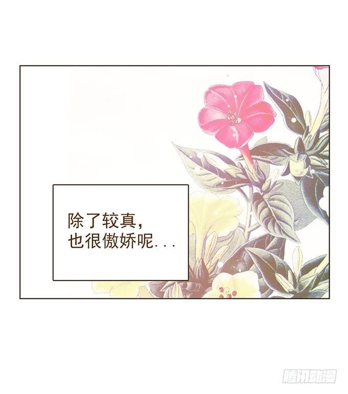 布丁时间（一）