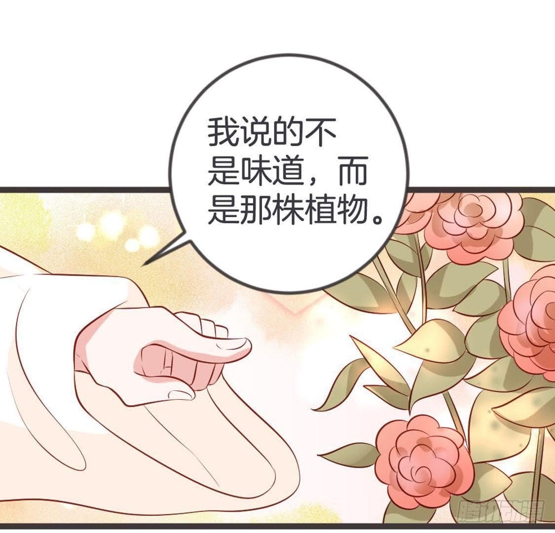 第94话 赤叶山茶