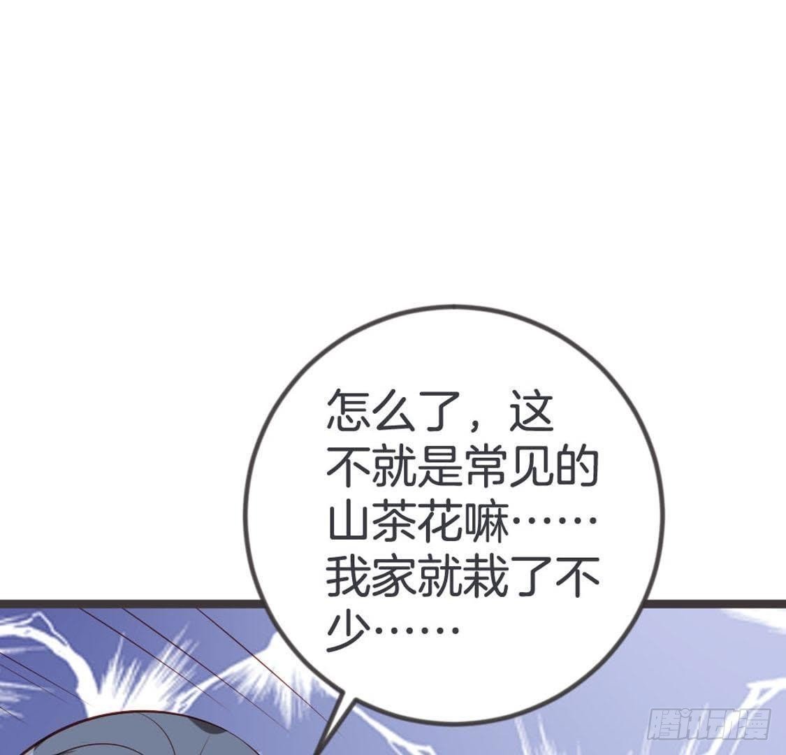 第94话 赤叶山茶