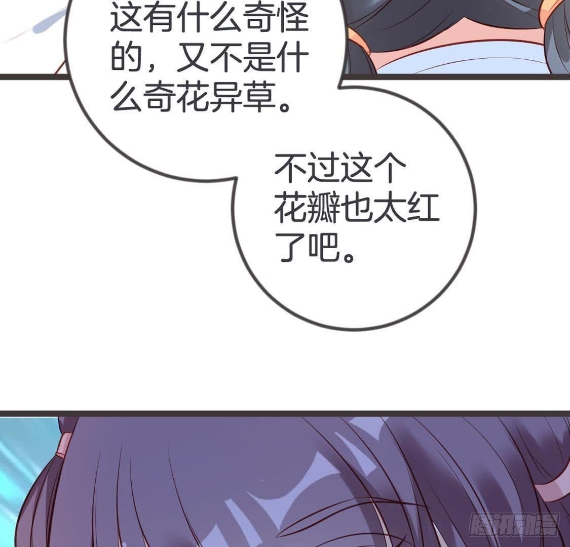 第94话 赤叶山茶