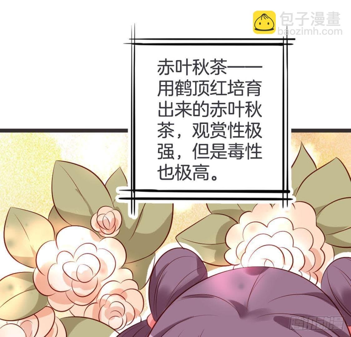第94话 赤叶山茶
