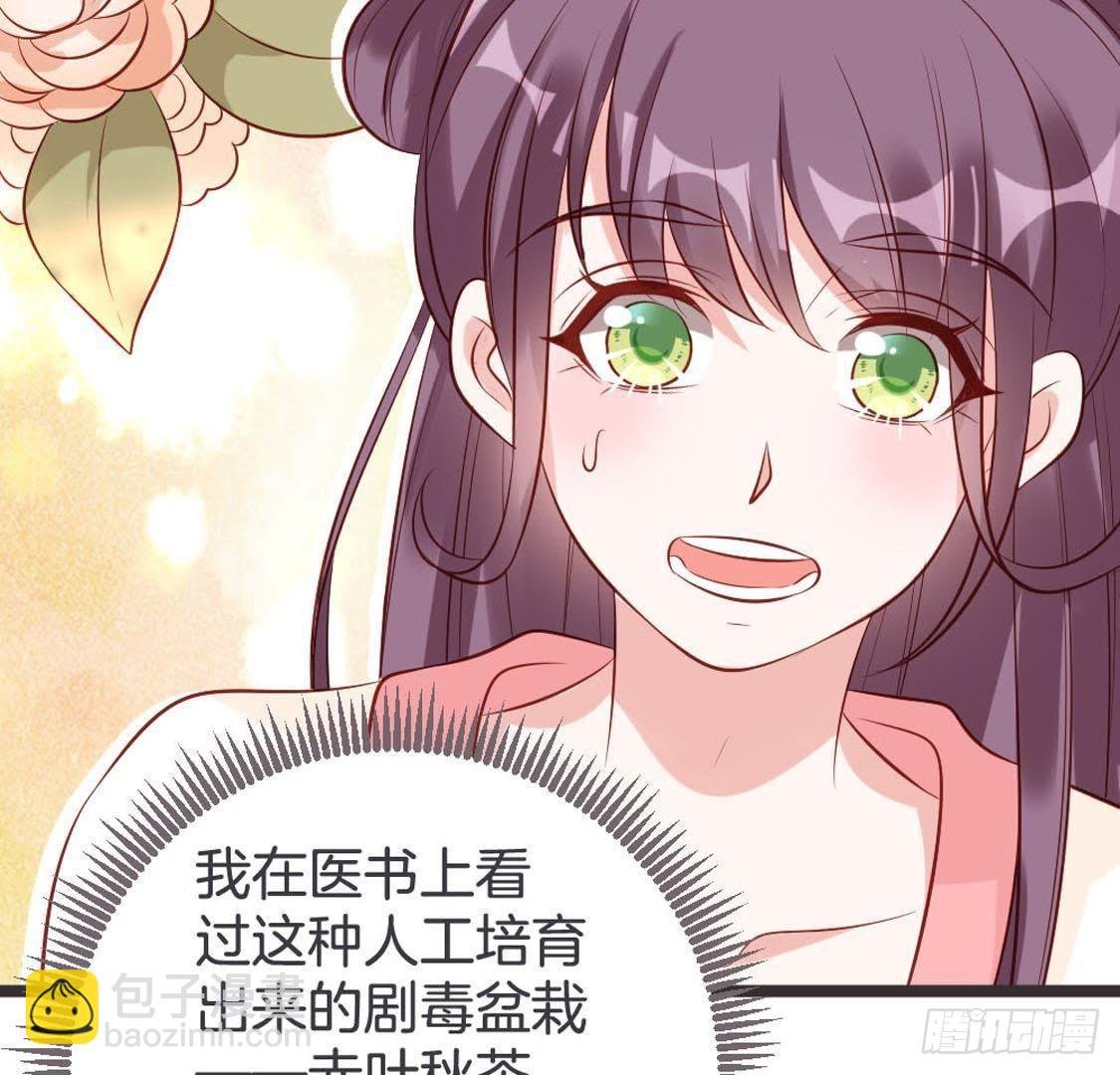 第94话 赤叶山茶