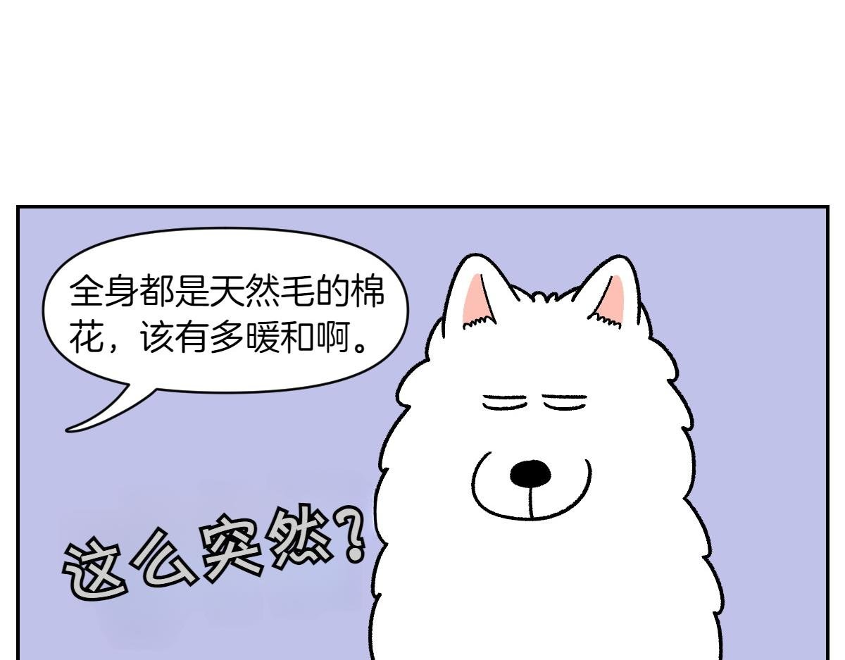 第46话 姐姐们的冬季散步look