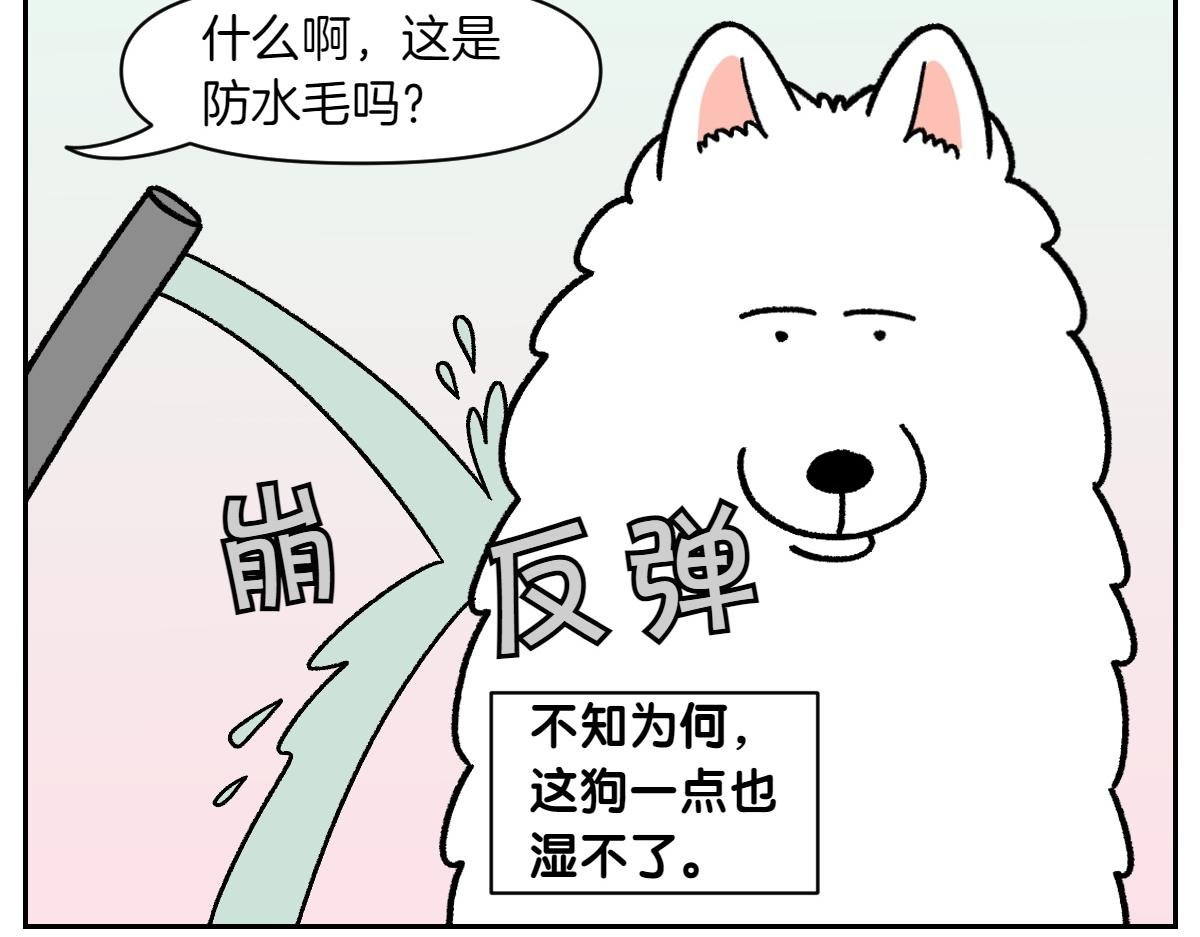 第48话 洗澡