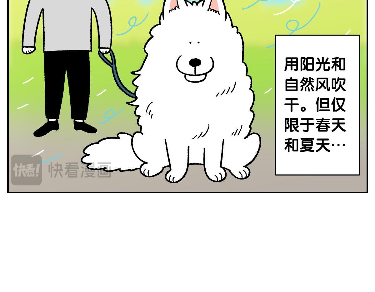 第50话 超强风吹干