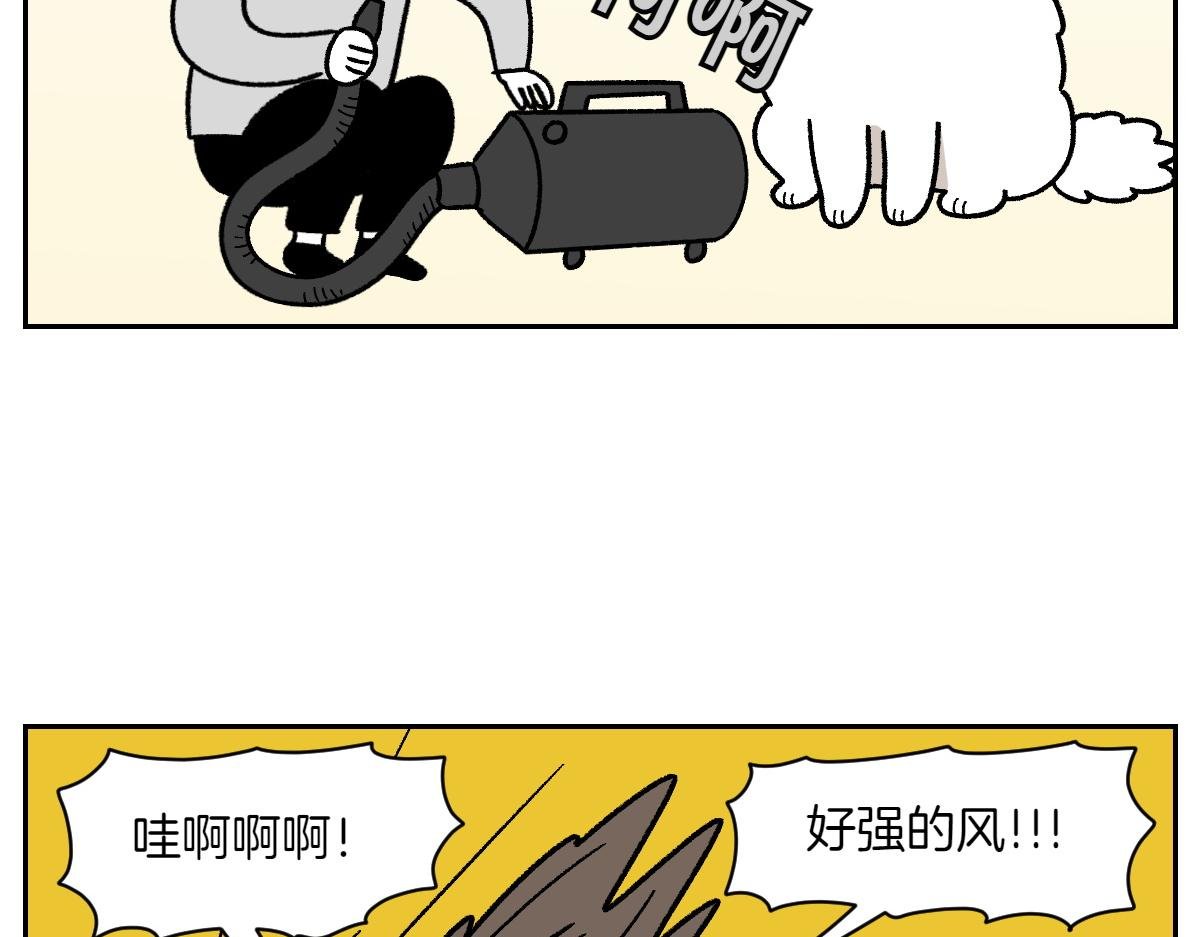 第50话 超强风吹干
