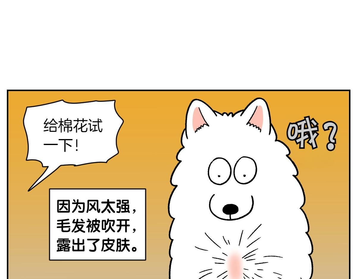 第50话 超强风吹干