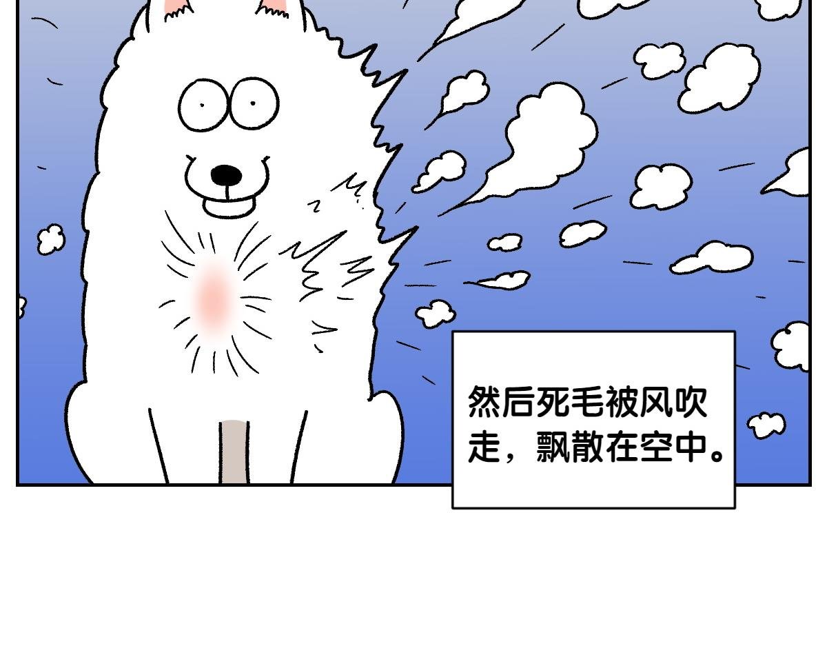 第50话 超强风吹干