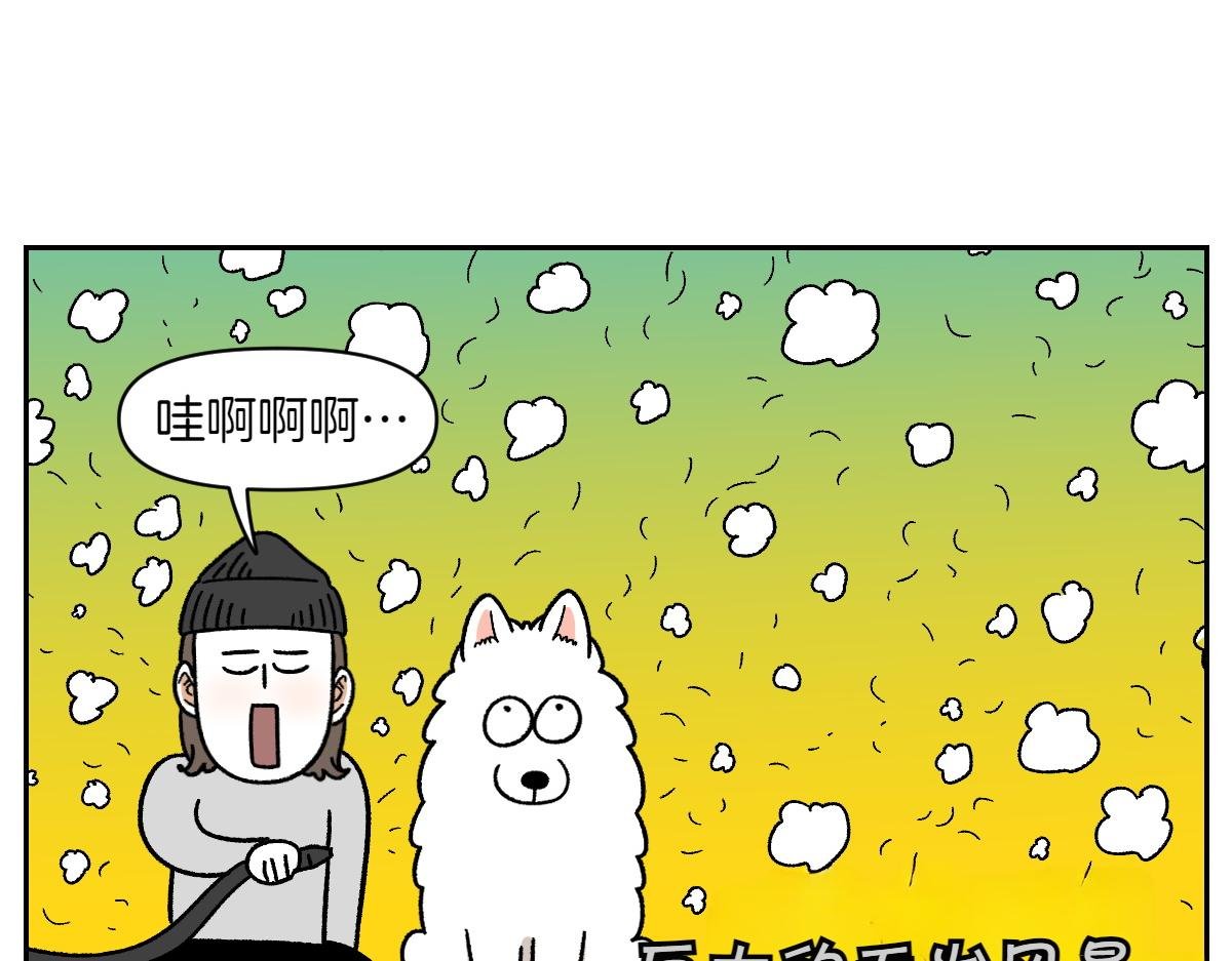 第50话 超强风吹干