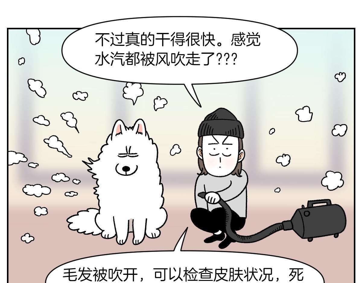 第50话 超强风吹干