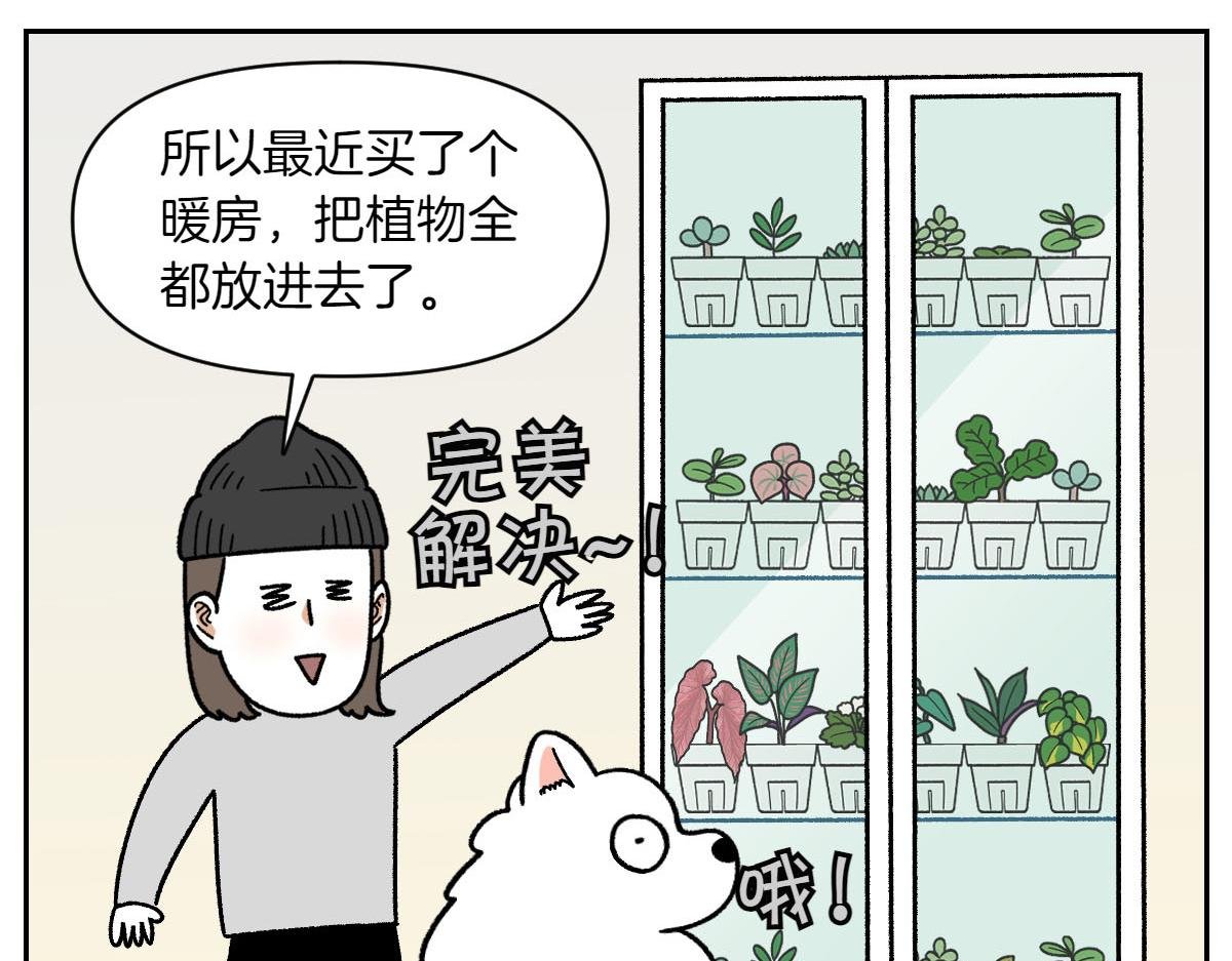 第50话 超强风吹干