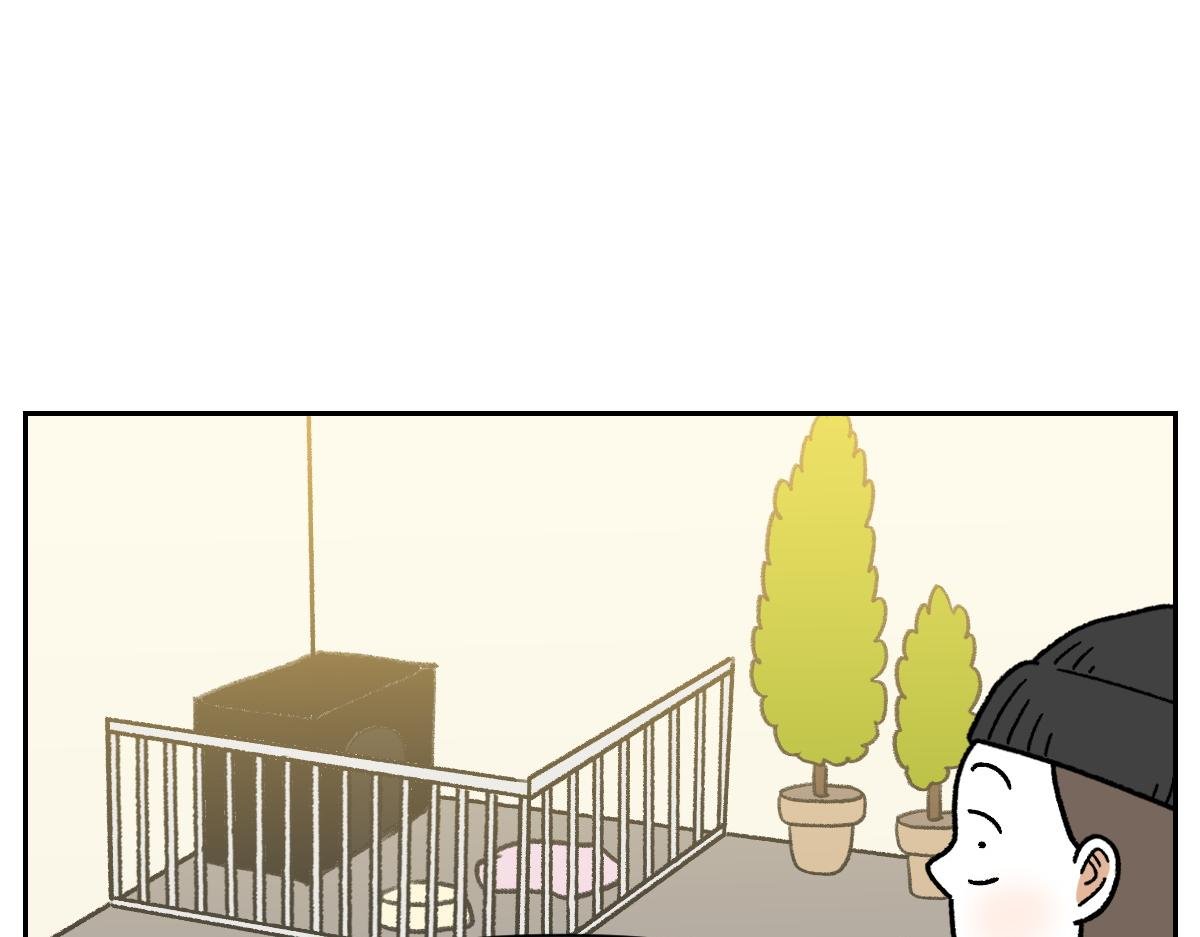 第52话 被传染猫癣