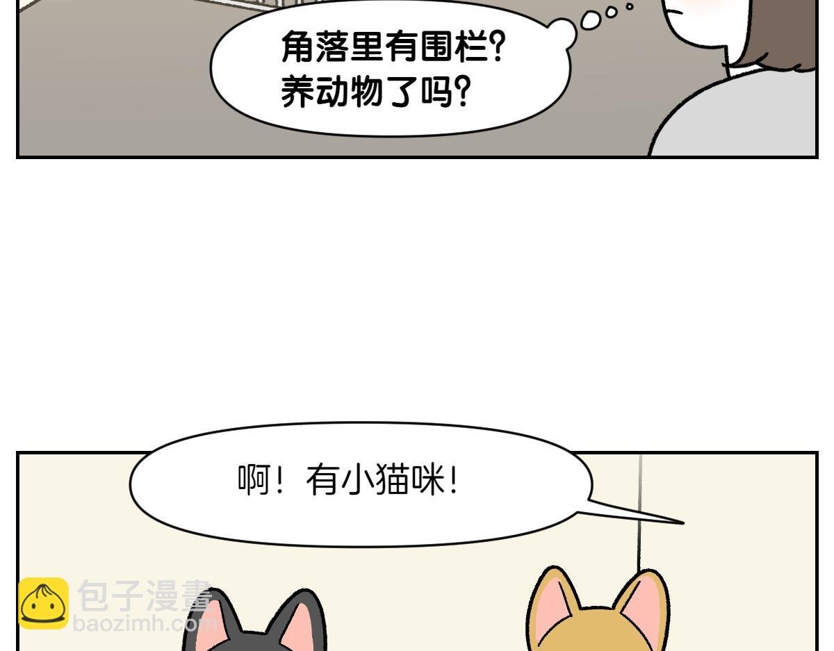 第52话 被传染猫癣