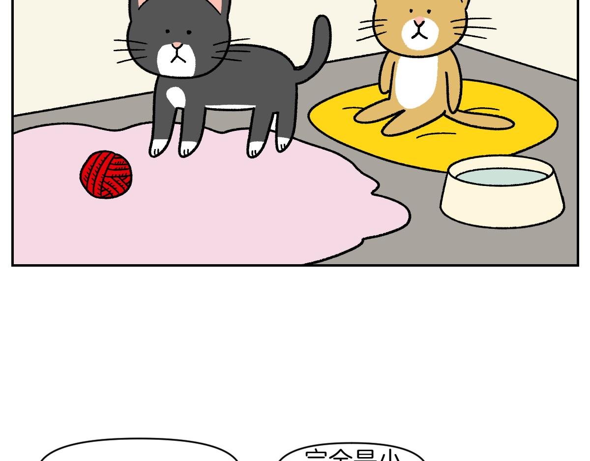 第52话 被传染猫癣