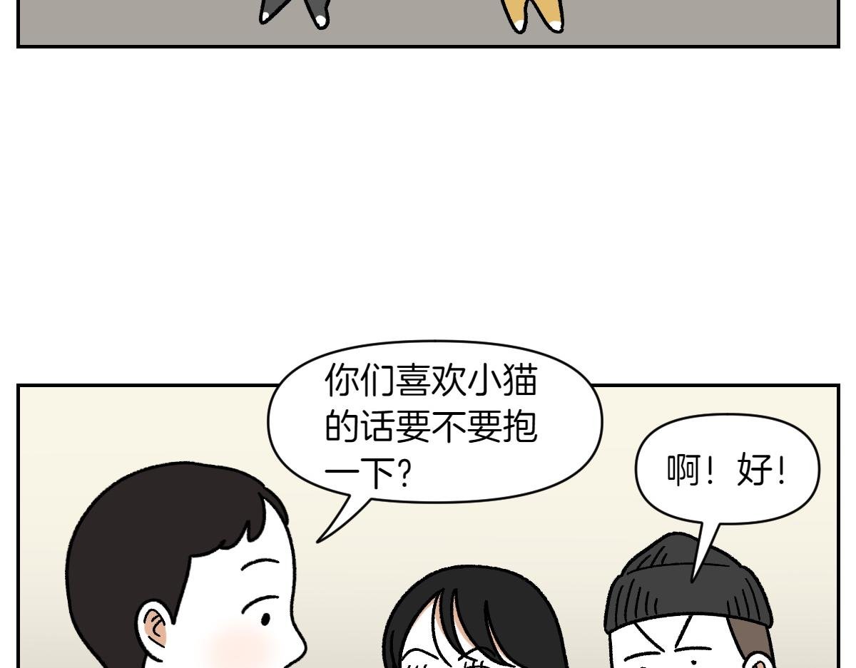 第52话 被传染猫癣