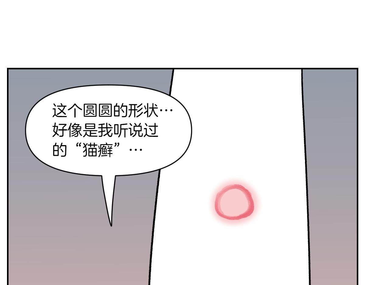 第52话 被传染猫癣