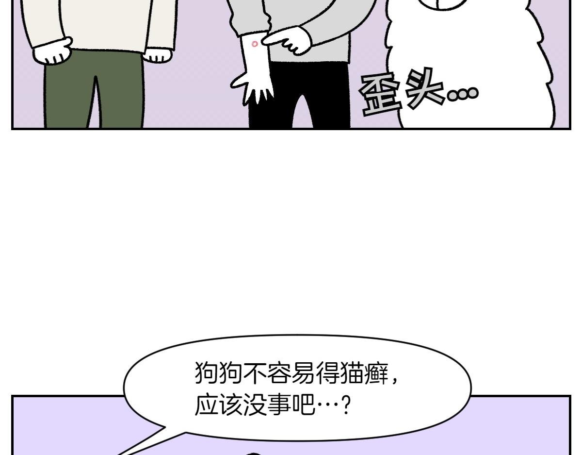 第52话 被传染猫癣