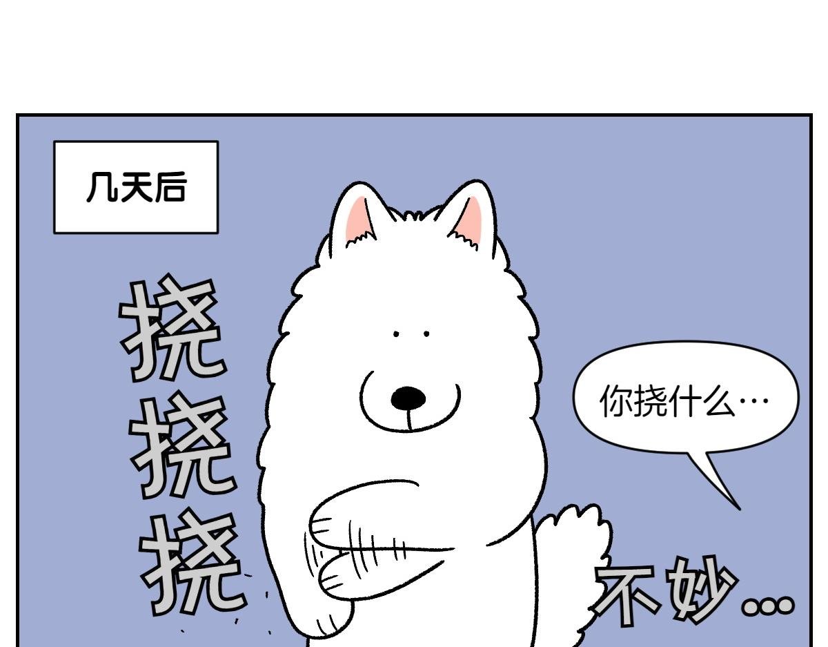 第52话 被传染猫癣