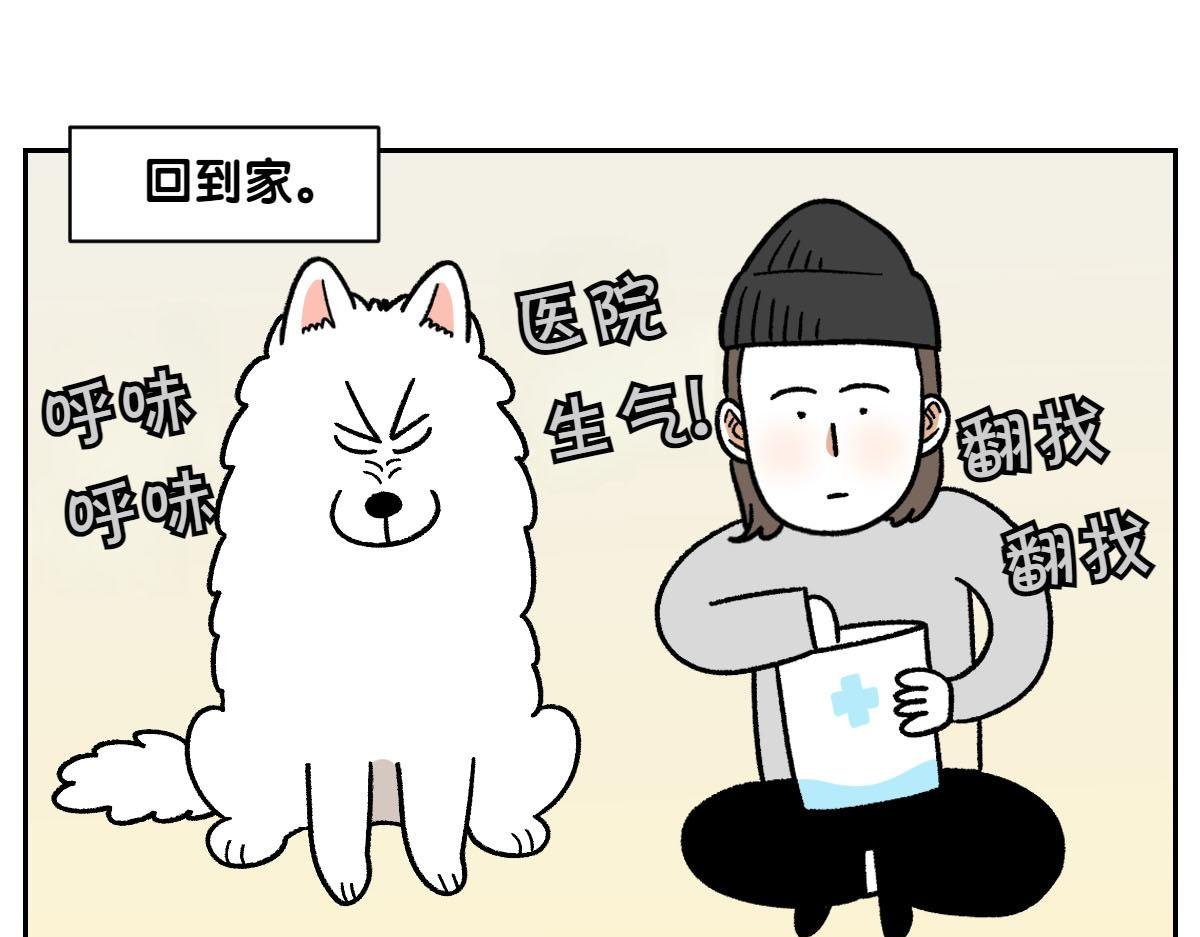 第52话 被传染猫癣