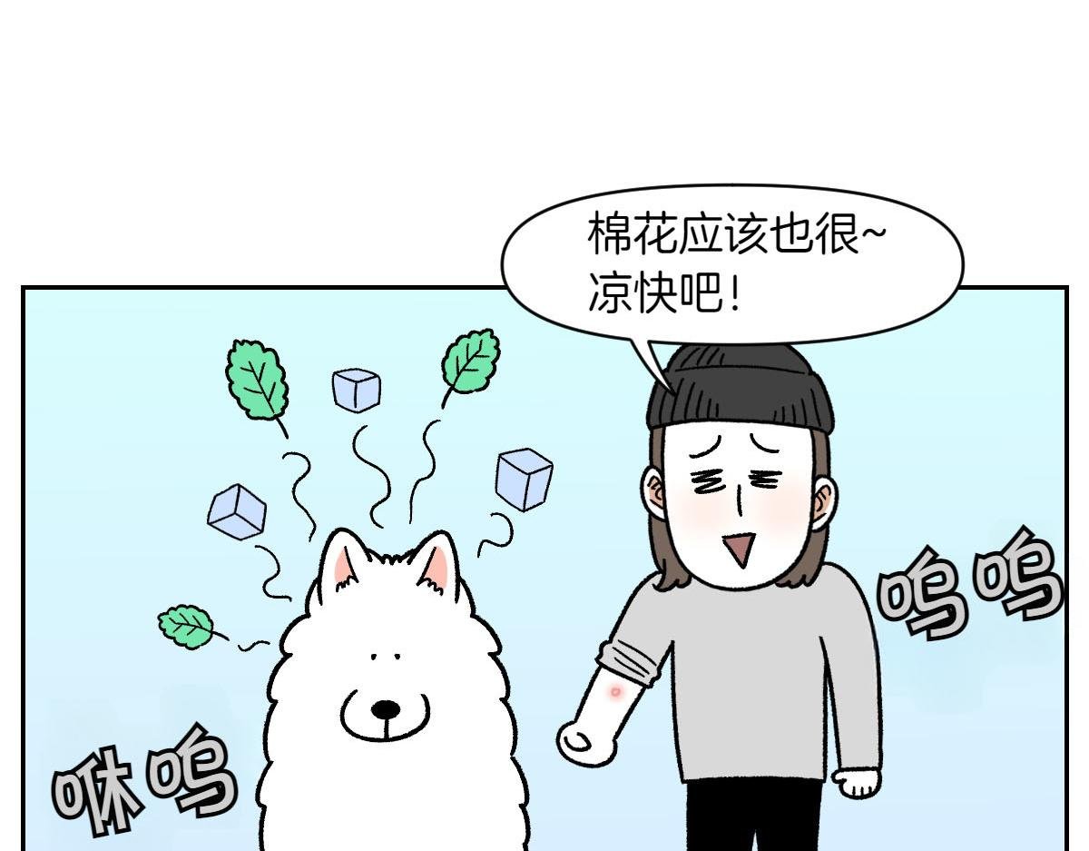 第52话 被传染猫癣