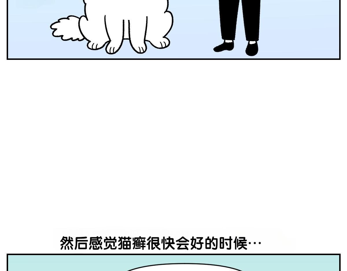 第52话 被传染猫癣
