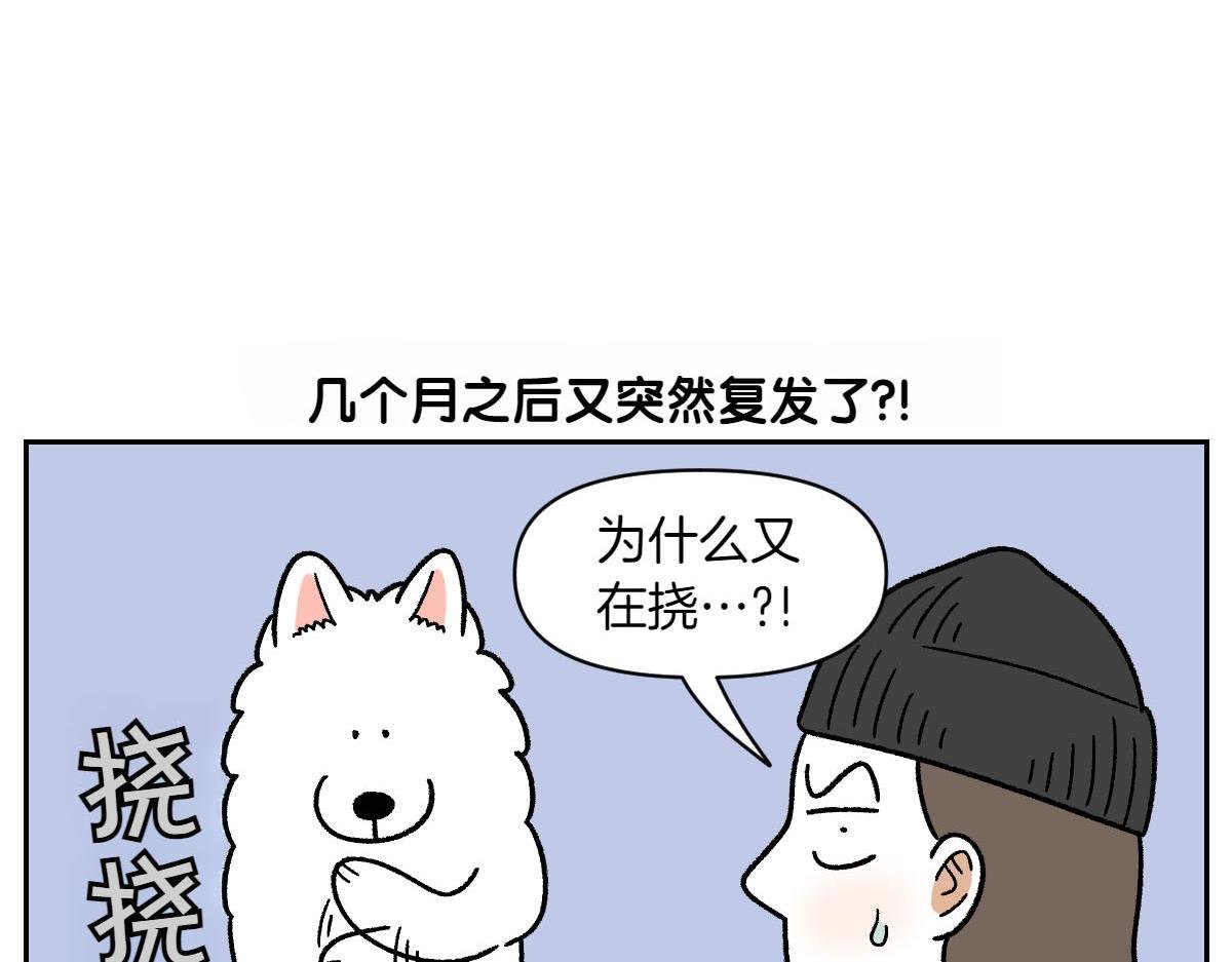 第52话 被传染猫癣