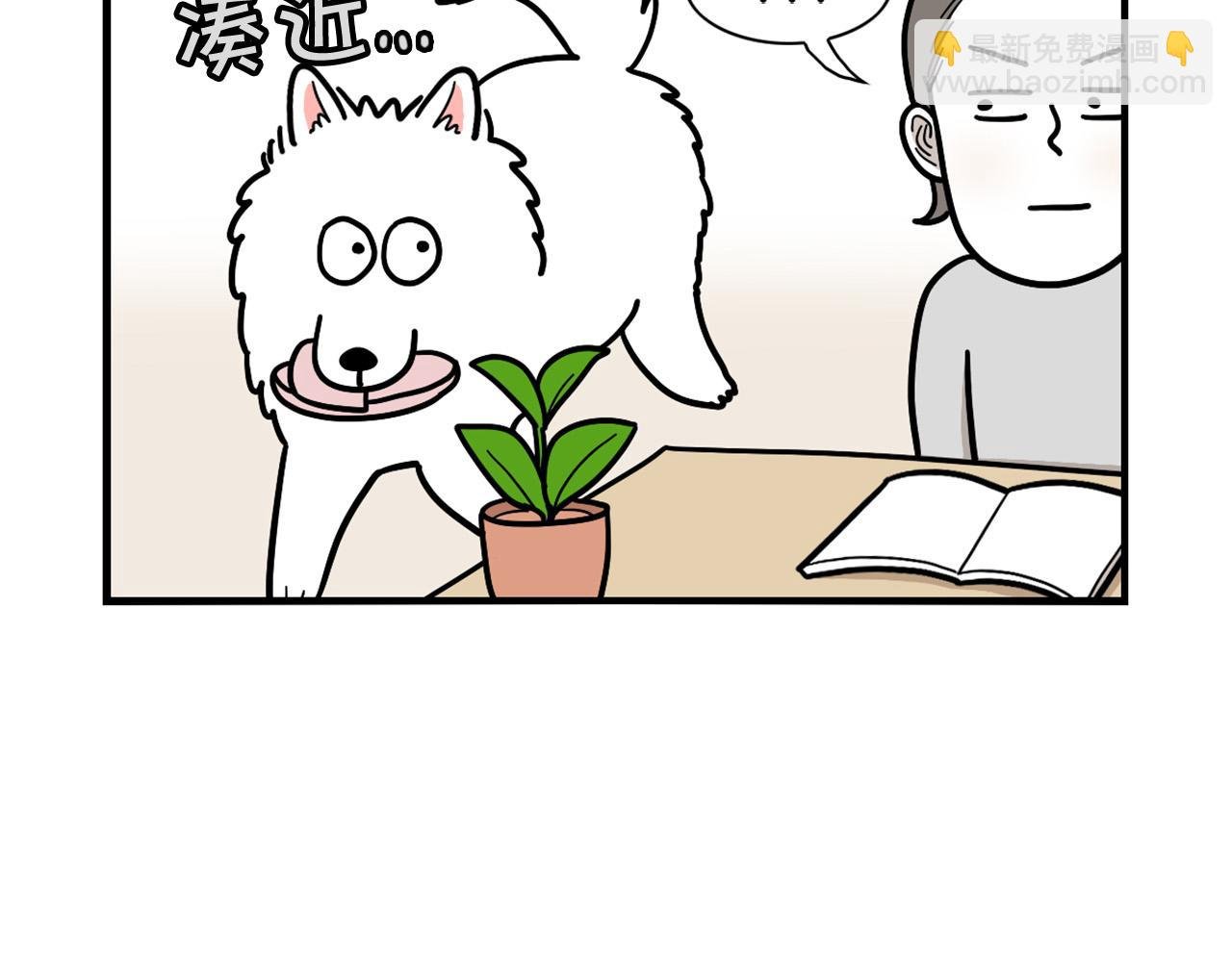 第13话 拆家大王