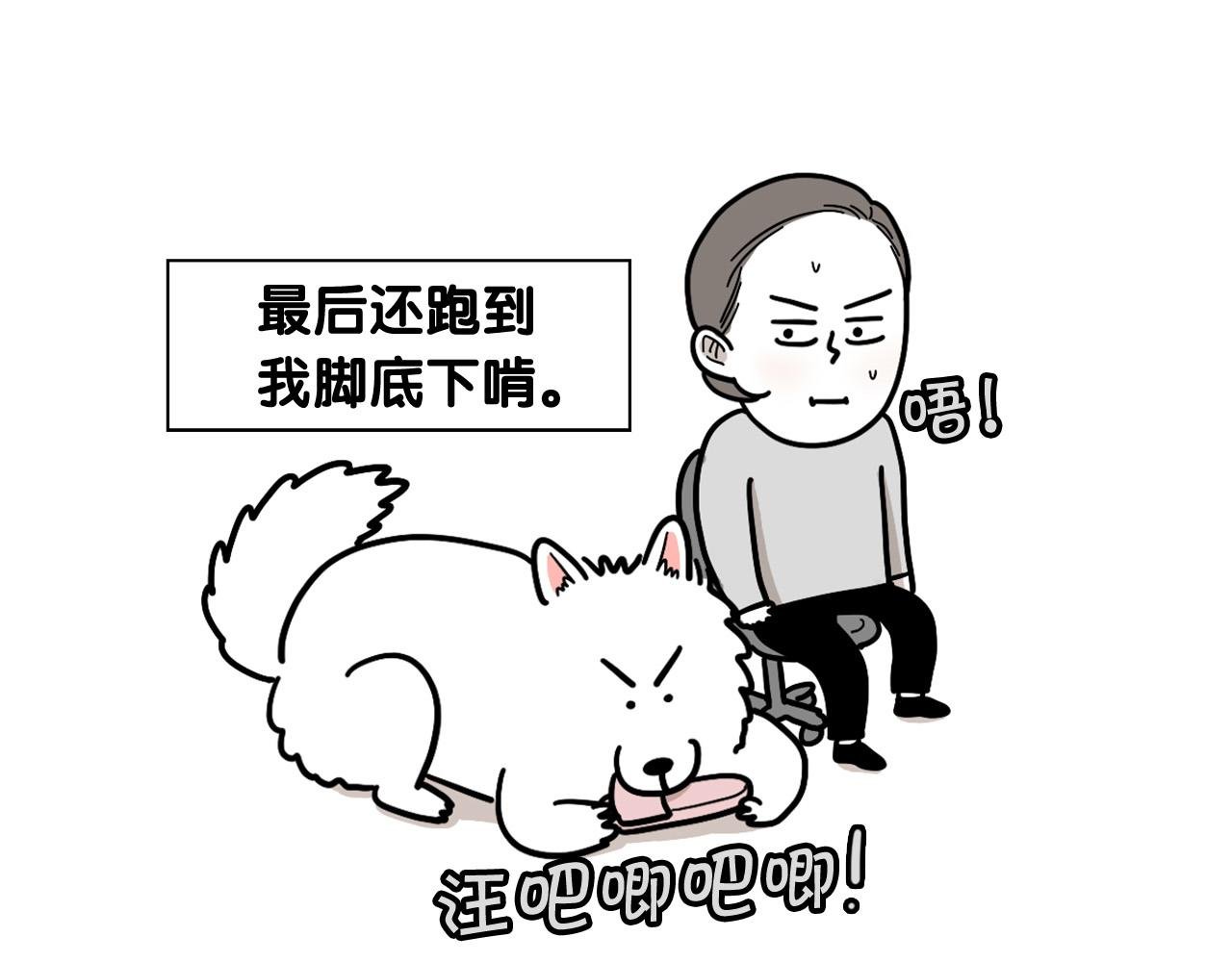第13话 拆家大王