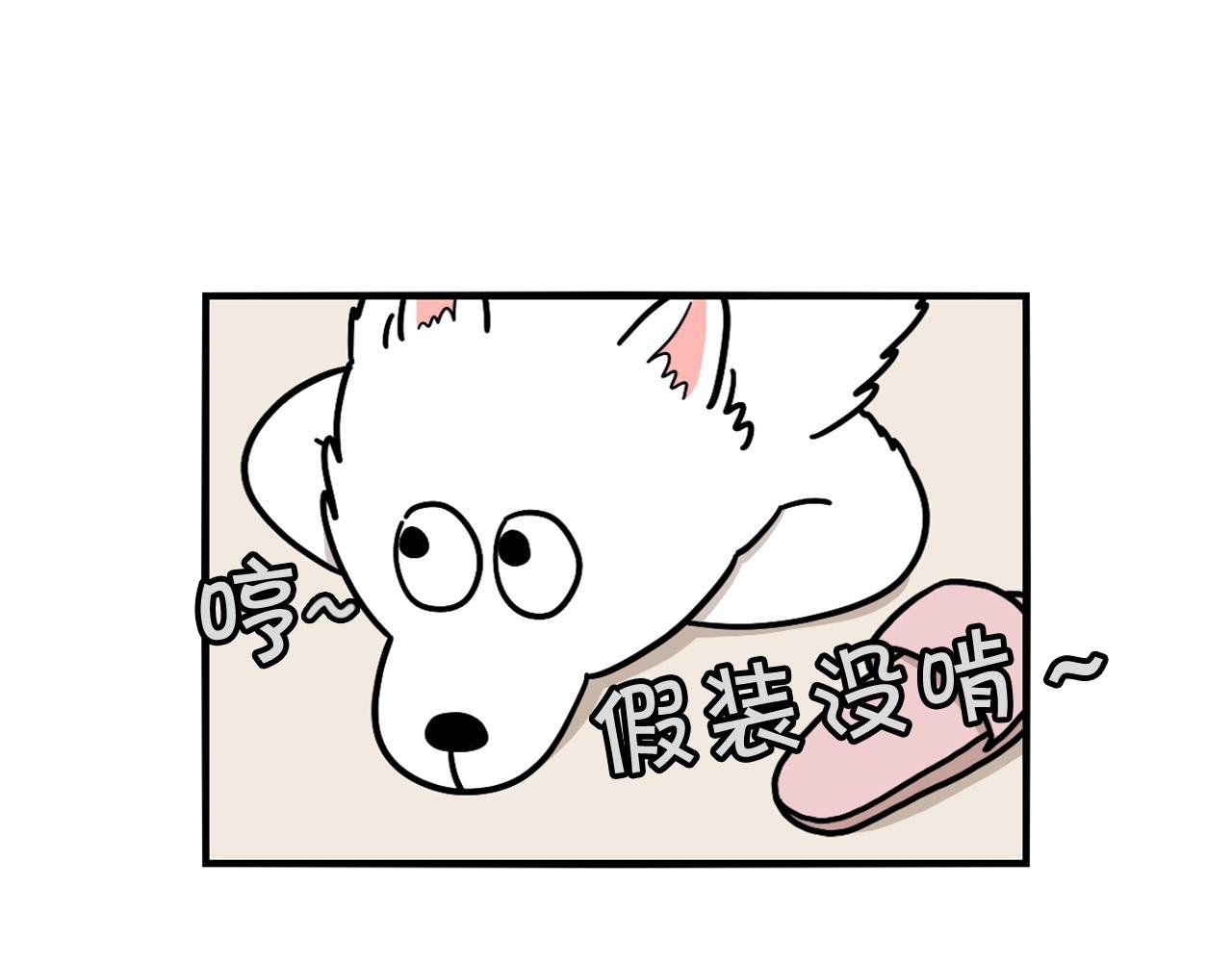第13话 拆家大王