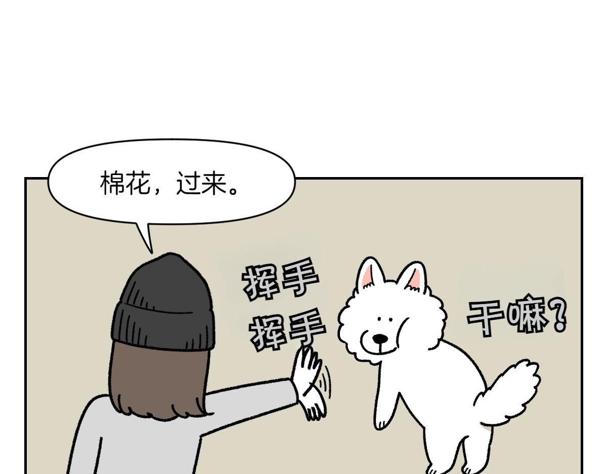 第17话 胖狗狗2
