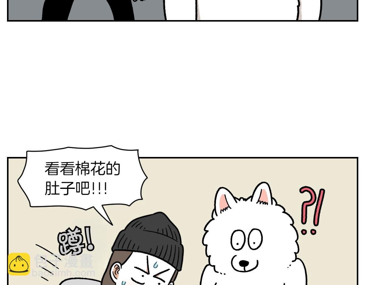 第17话 胖狗狗2