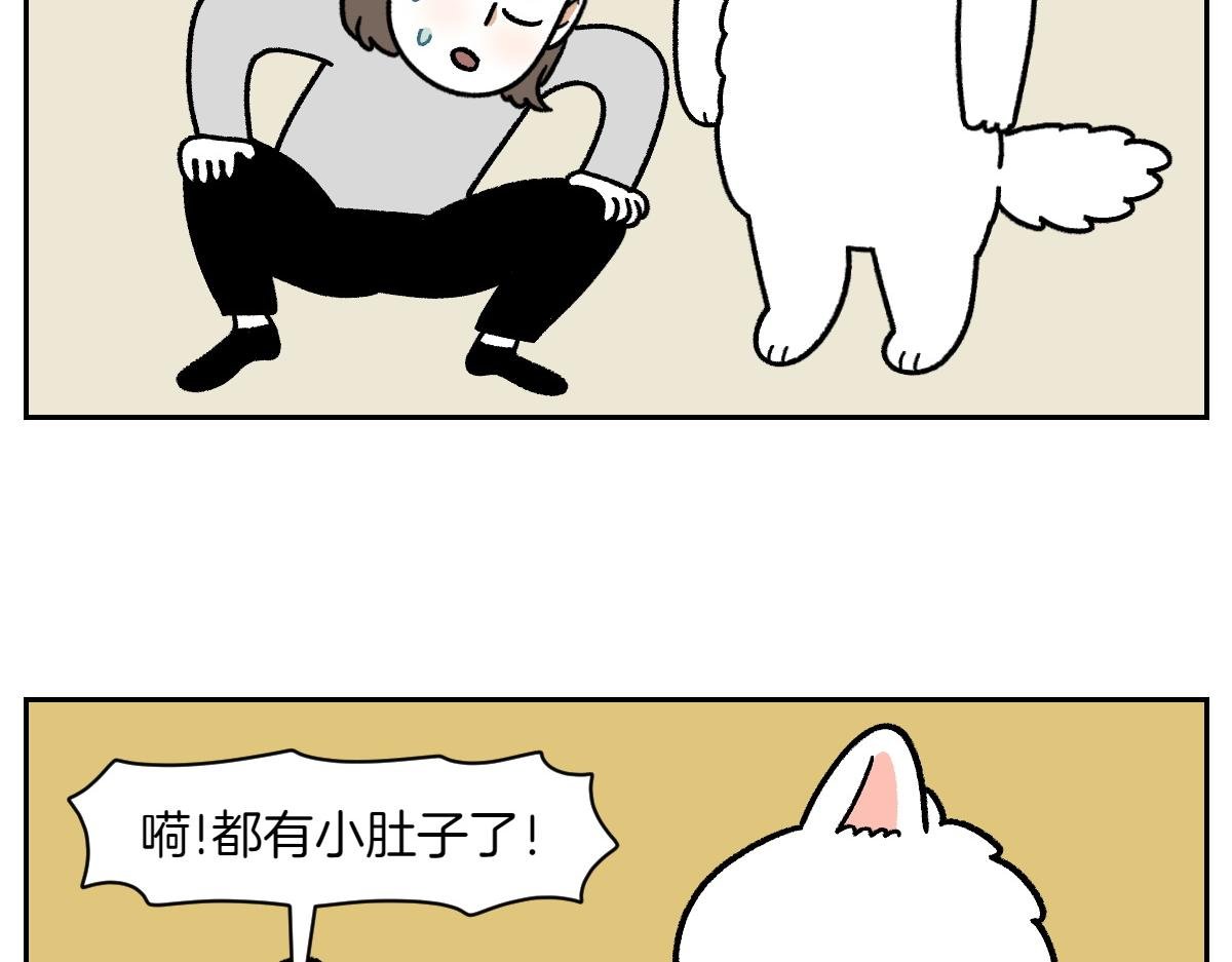 第17话 胖狗狗2