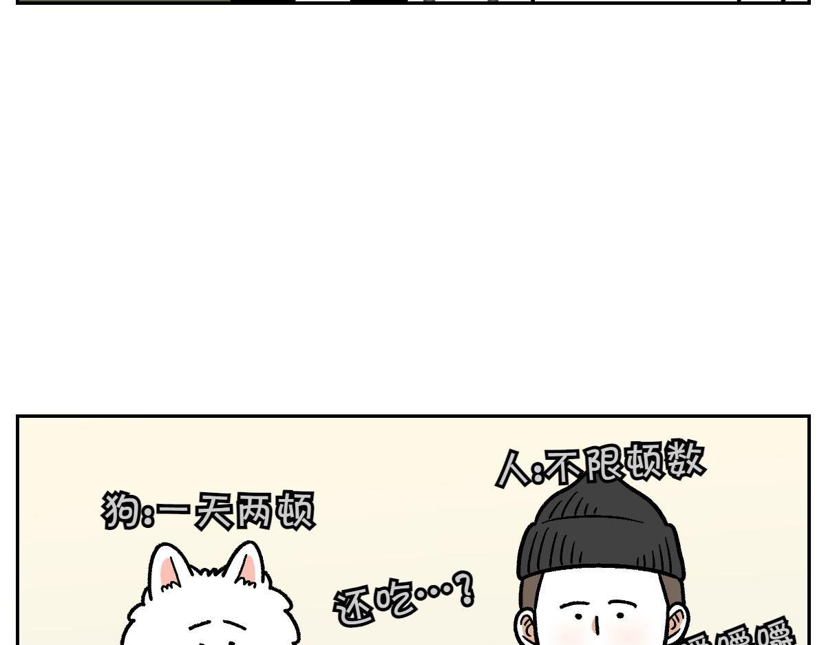 第17话 胖狗狗2