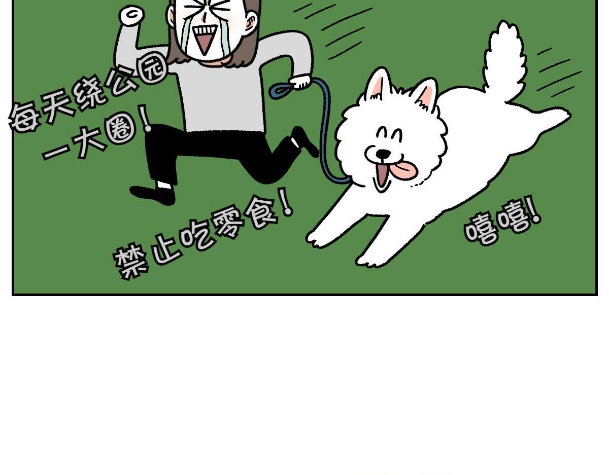 第17话 胖狗狗2