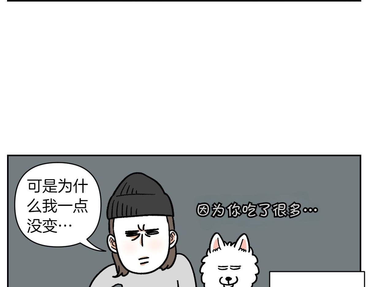 第17话 胖狗狗2