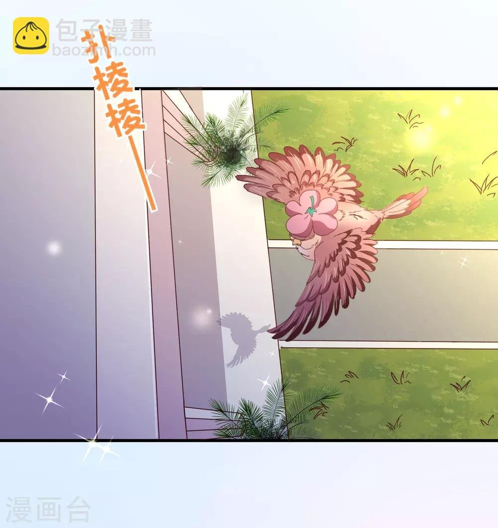 第117话 追夫