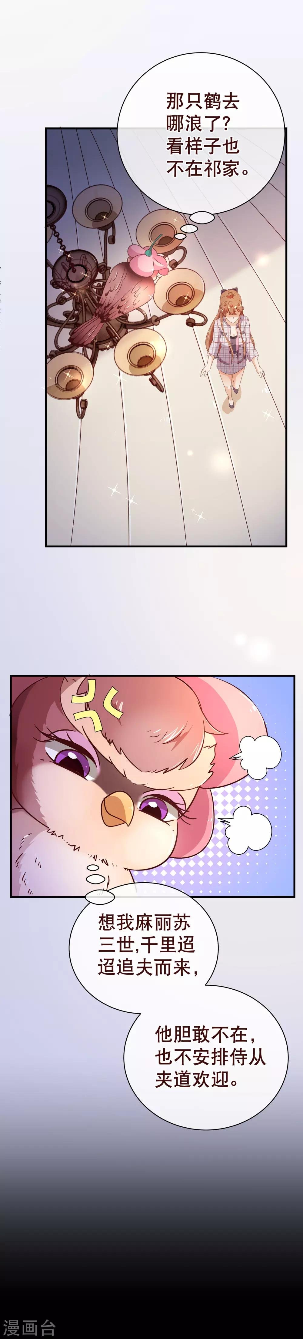 第117话 追夫