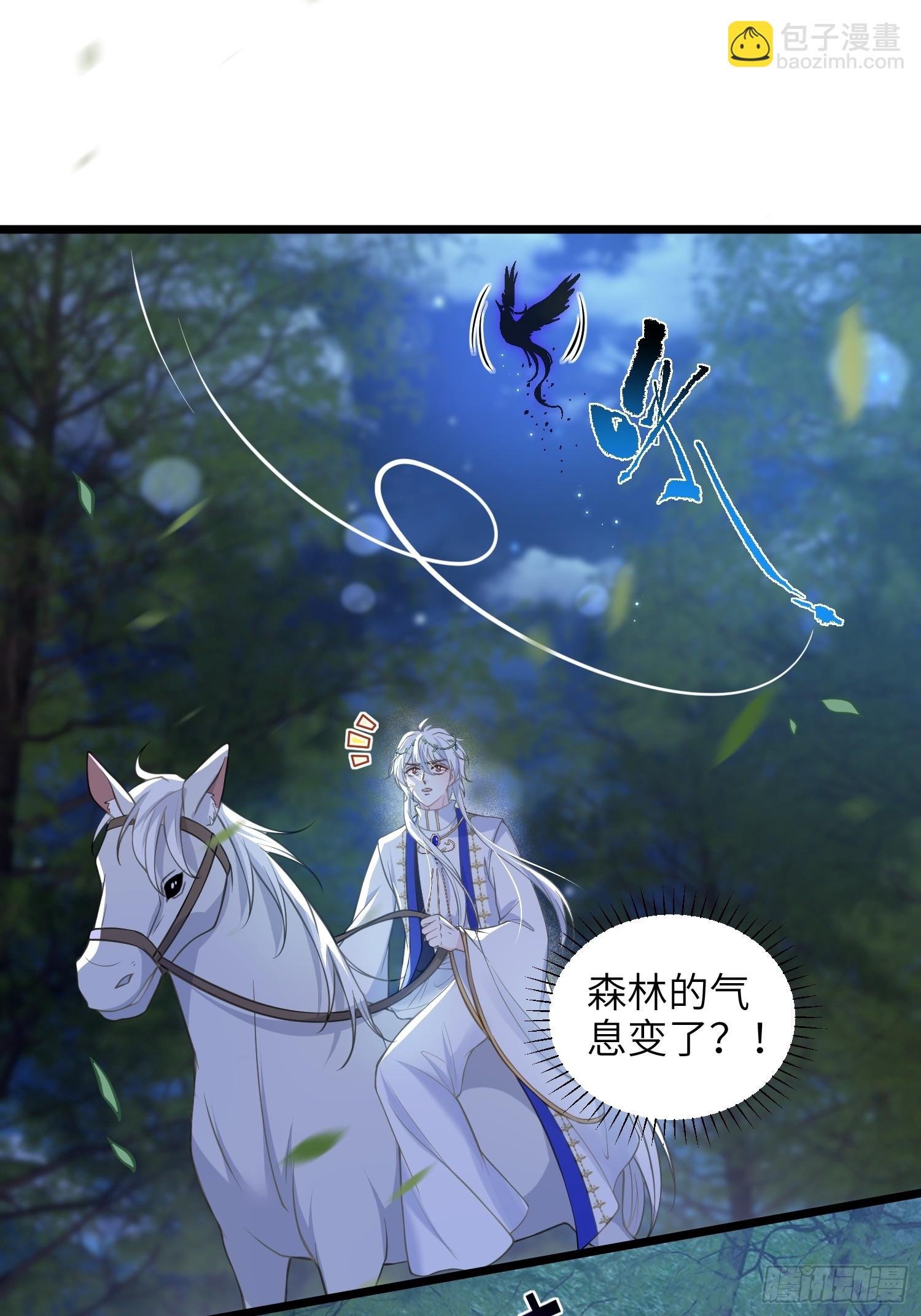 73 玛歌的爱
