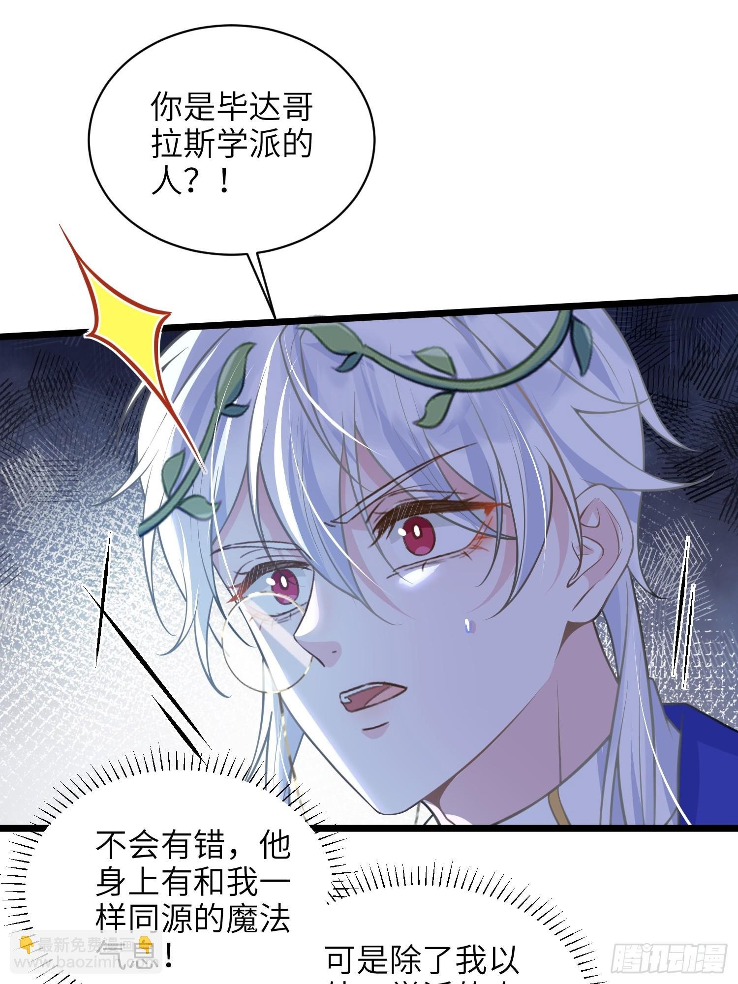 73 玛歌的爱