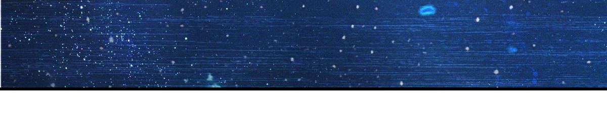 第384话 有趣的狱友