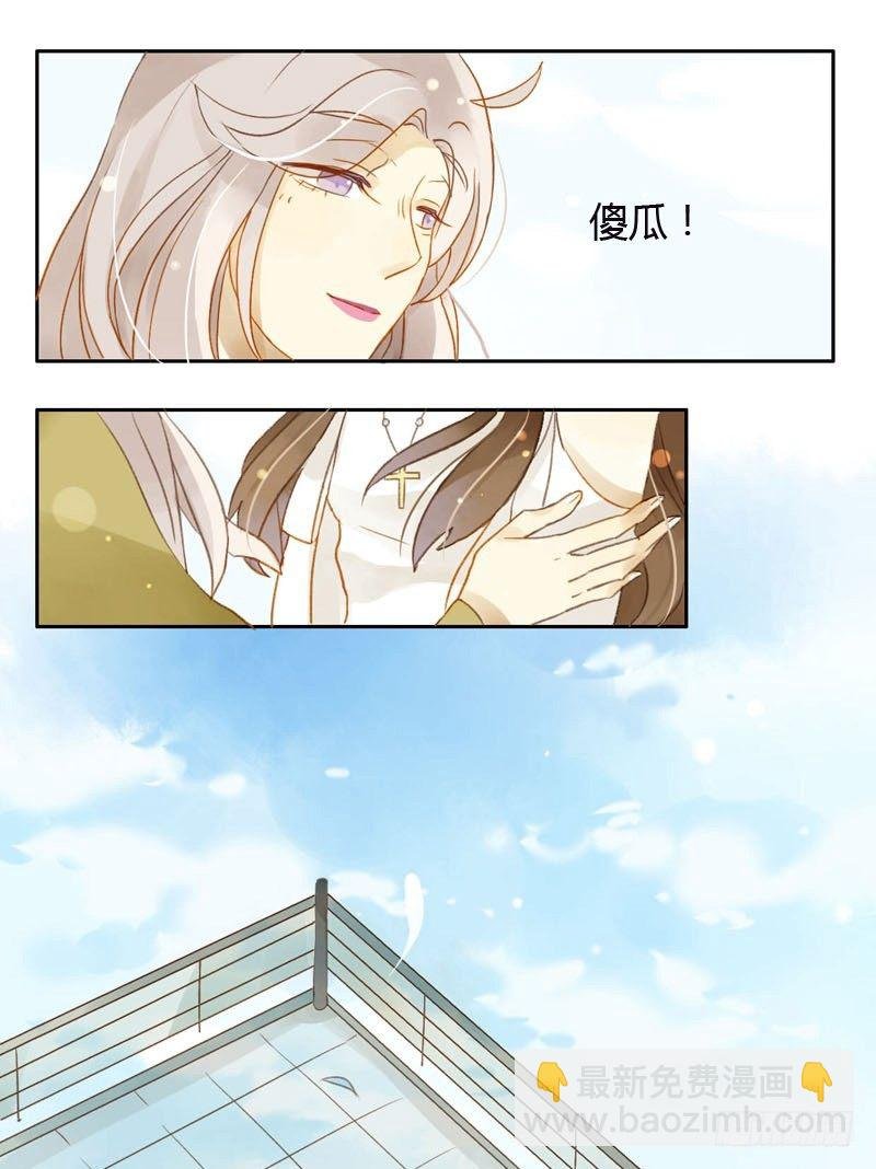 哪里来的猫（上）