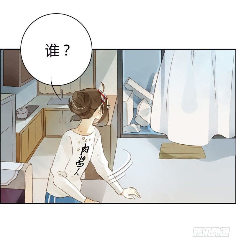 哪里来的猫（上）